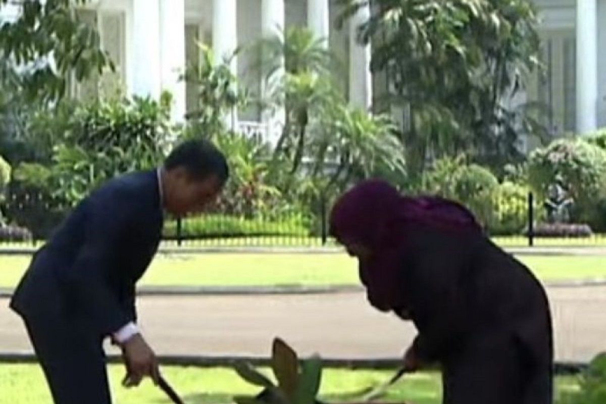 Joko Widodo ajak Presiden Tanzania tanam pohon perdamaian di Istana Bogor
