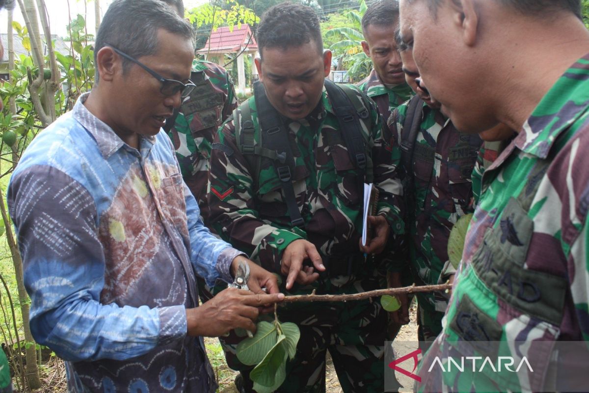 Anggota Kodim 1001/HSU-BLG ikuti pelatihan penanaman bibit