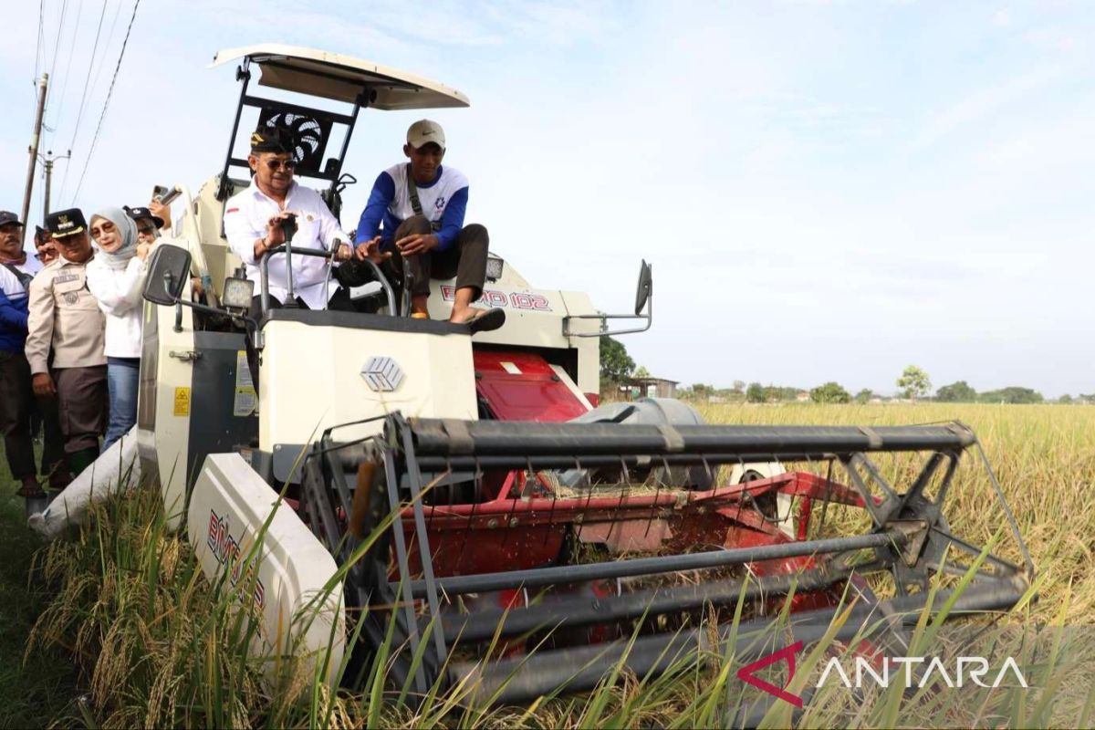 Dinas Pertanian Bekasi minta petani lakukan percepatan masa tanam