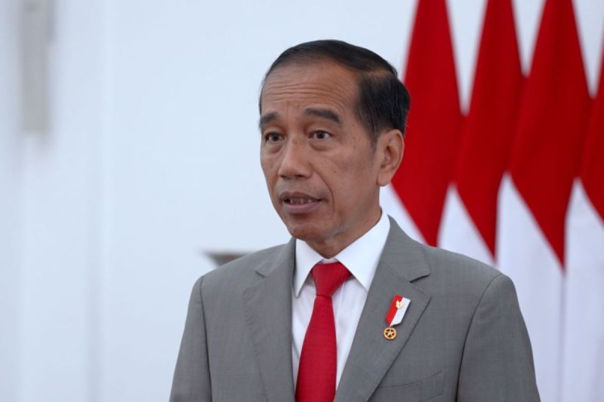 Netanyahu's stance on Palestinian statehood unacceptable: Widodo