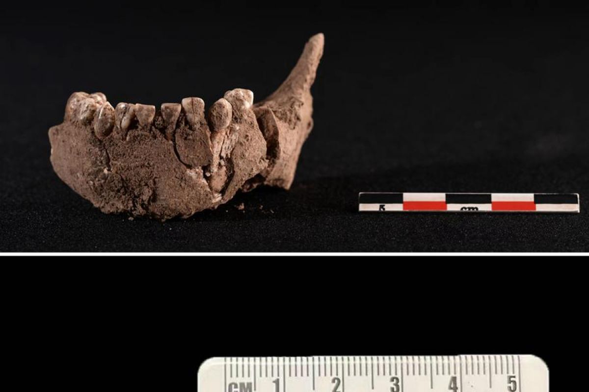 Peneliti China temukan aktivitas manusia prasejarah