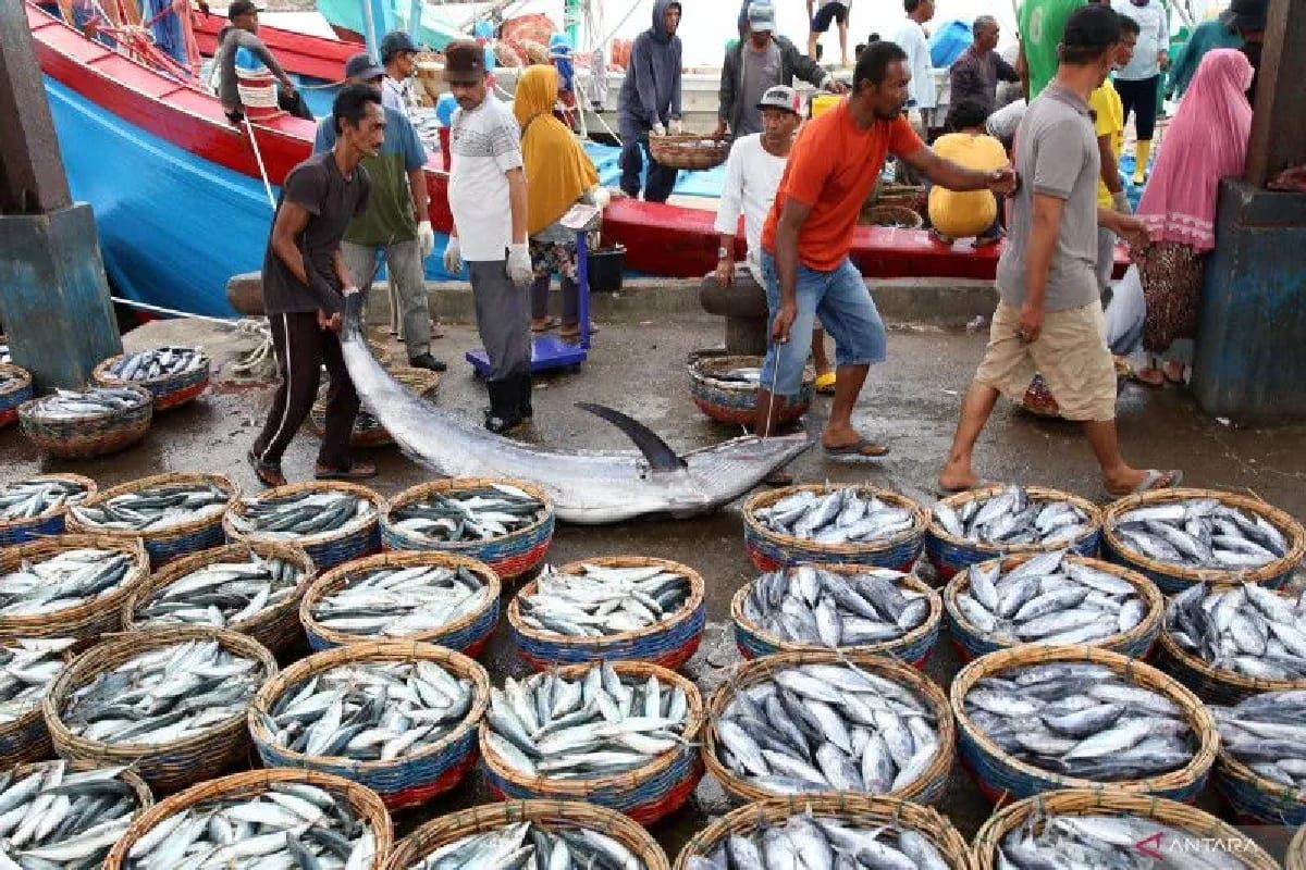 Aceh ekspor 196 ton perikanan beku selama 2023, nilainya capai Rp17 miliar