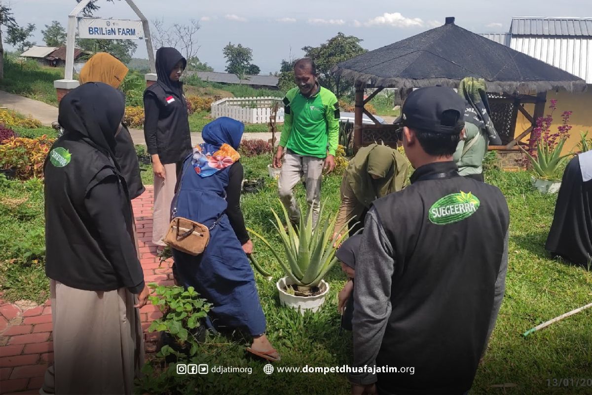 Perkuat UMKM, Dompet Dhuafa Jawa Timur edukasi mengolah minuman aloevera