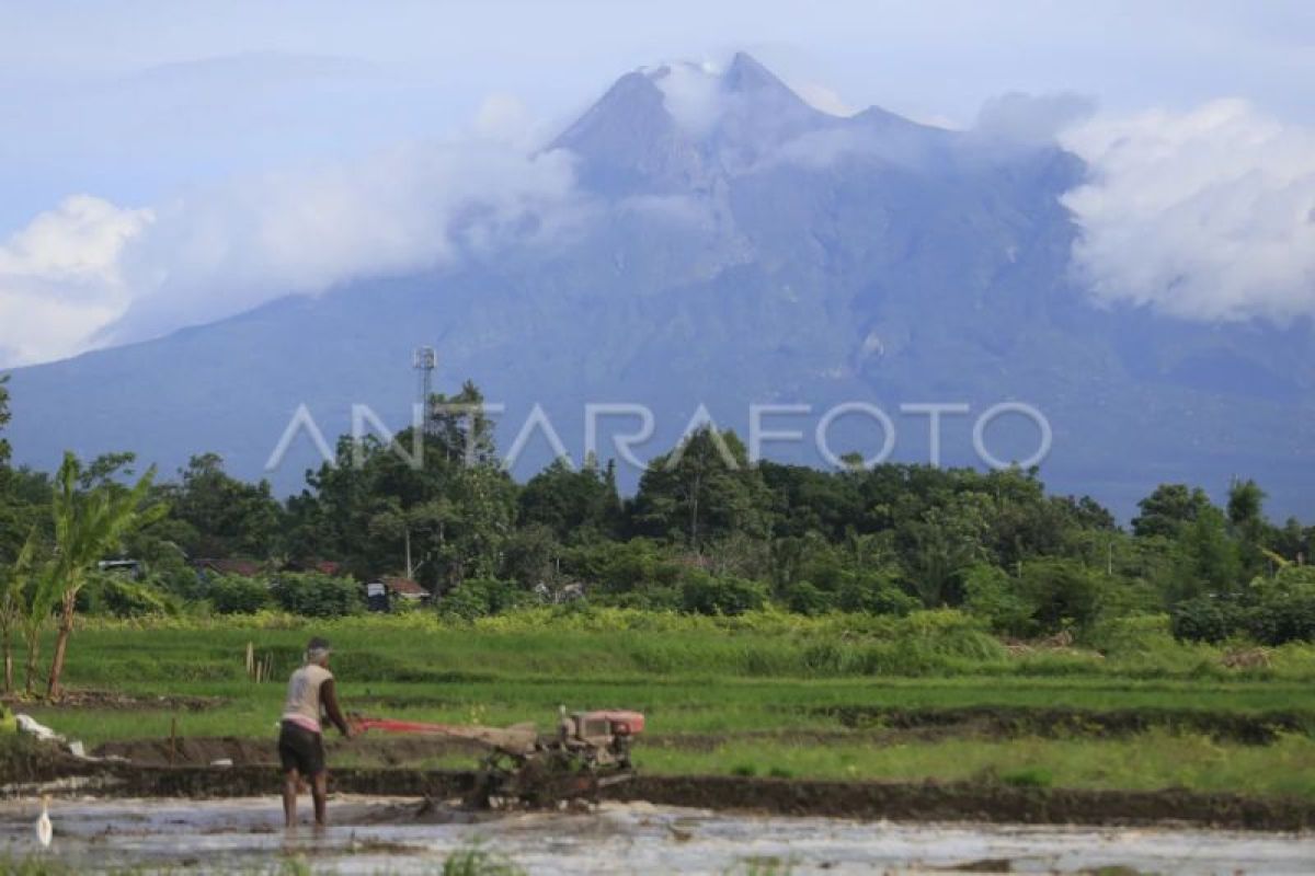 BPBD DIY memastikan jalur evakuasi Merapi dalam kondisi siap