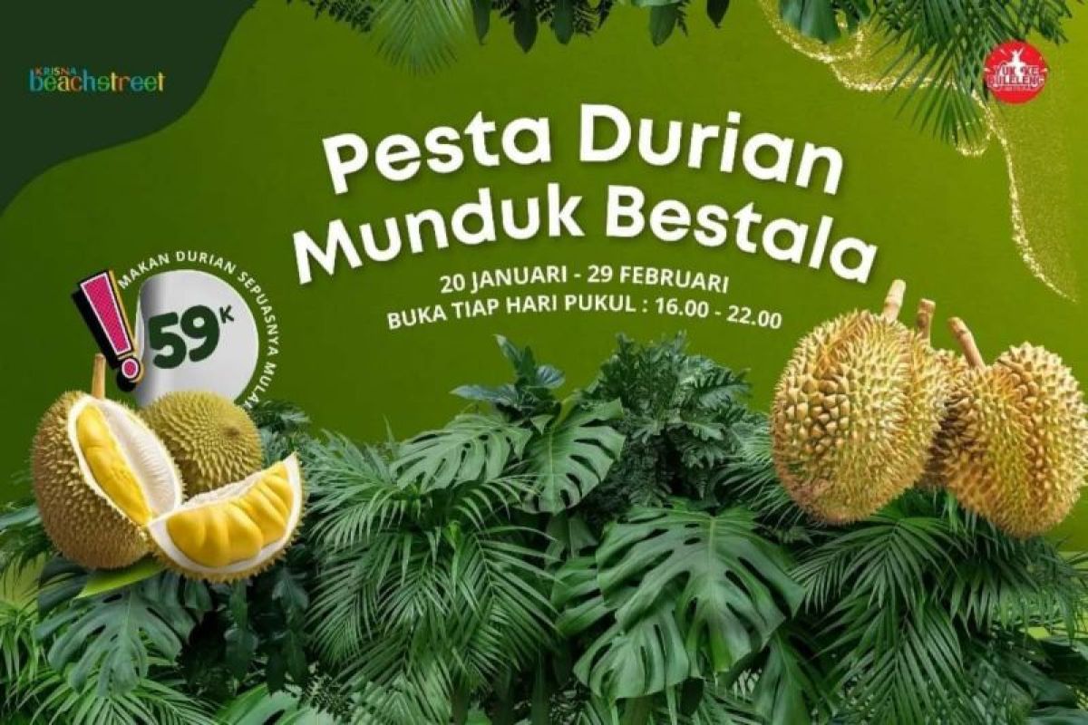 Dispar Buleleng adakan pesta durian promosikan desa wisata