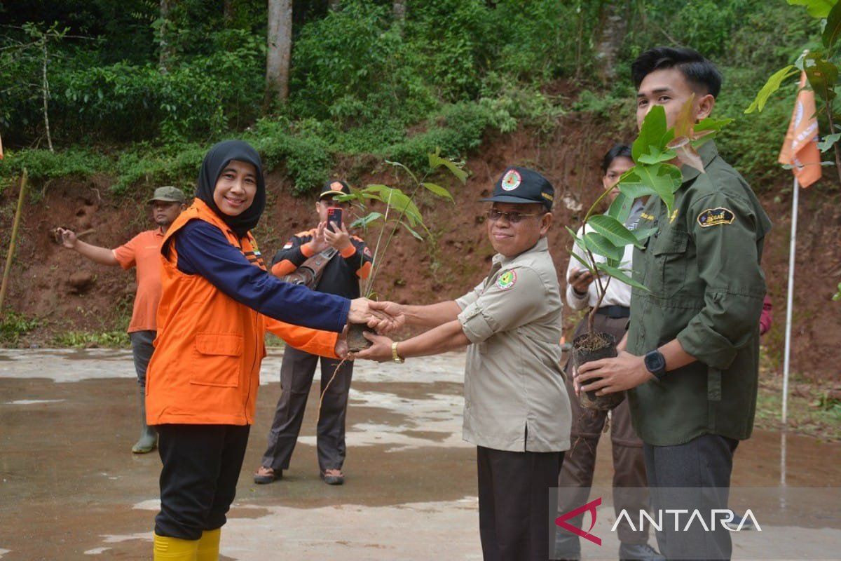 Pramuka Batang tanam 1.000 bibit pohon keras jaga kelestarian alam dataran tinggi