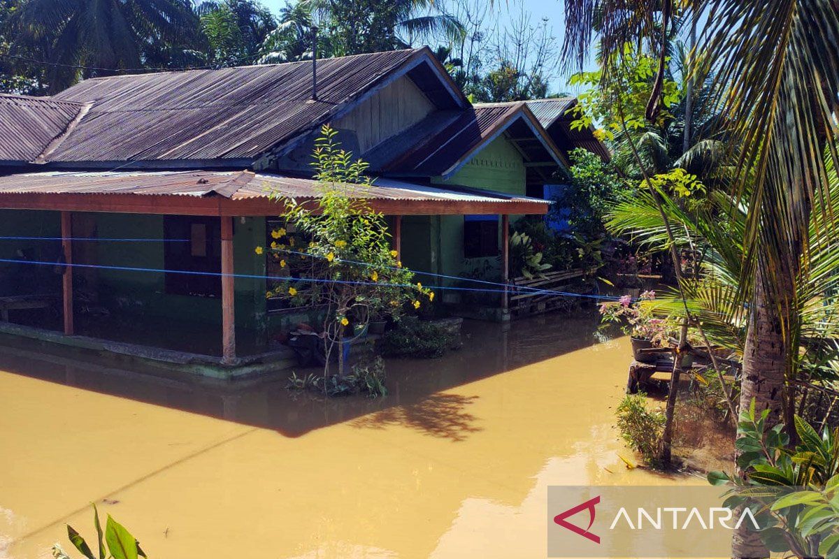 Banjir rendam 52 desa di Bireuen Aceh sebabkan 1.199 warga mengungsi