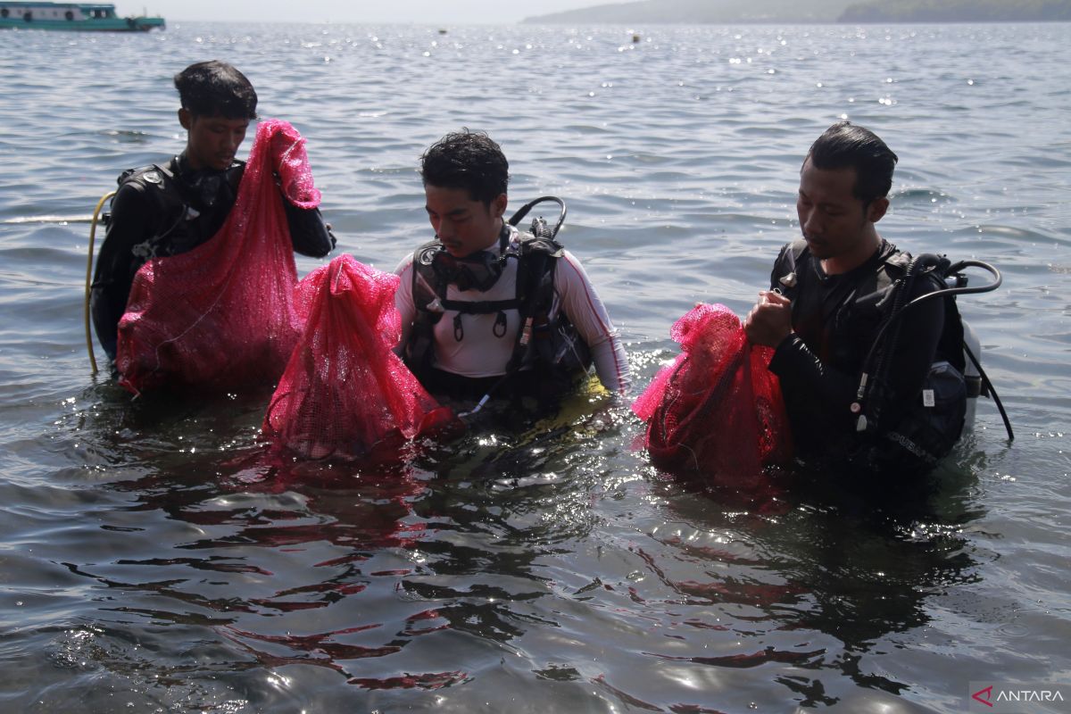 DCA mengajak kaum muda membantu upaya menjaga kebersihan laut