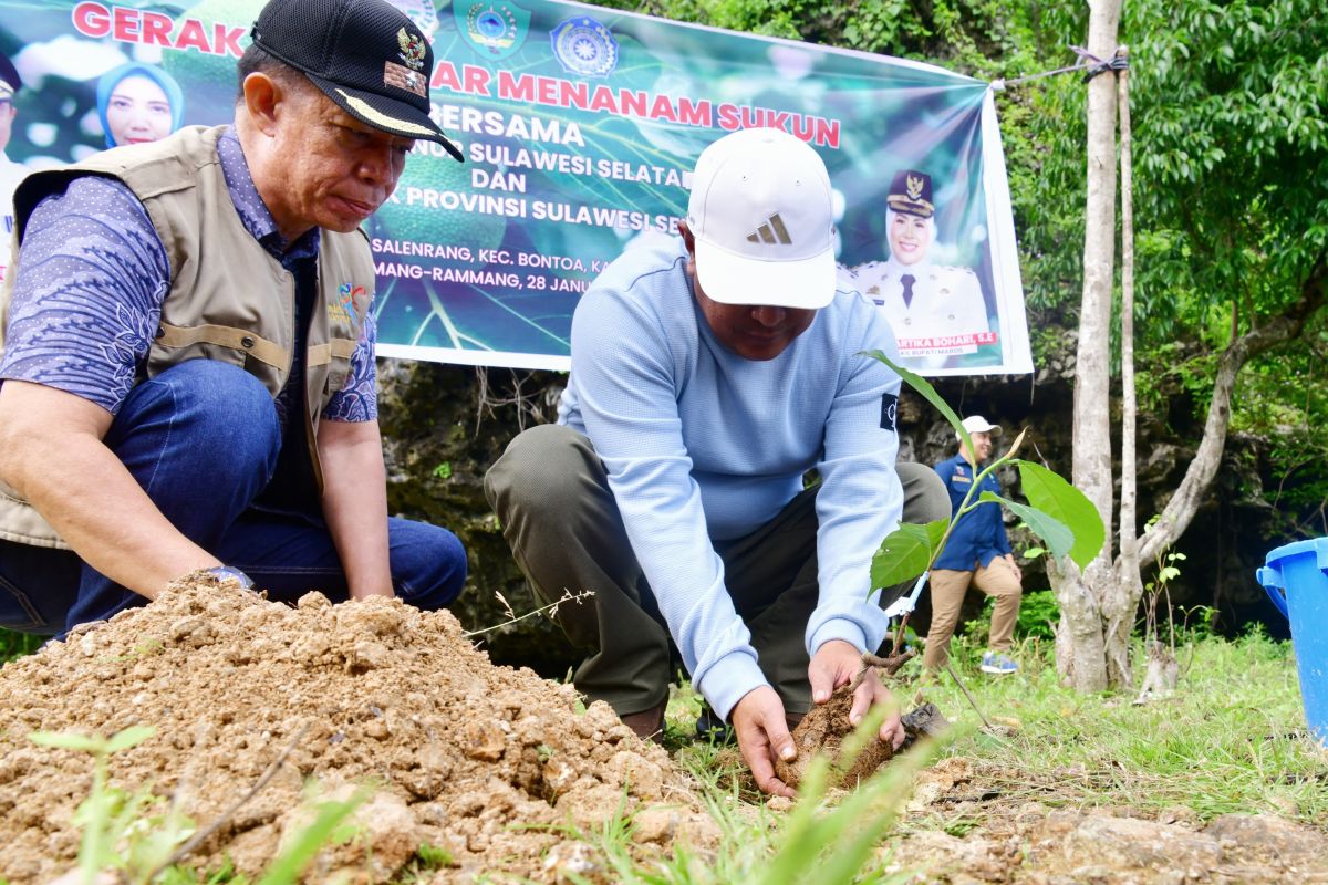 Gubernur Sulsel berkomitmen tingkatkan daya tarik Rammang-rammang