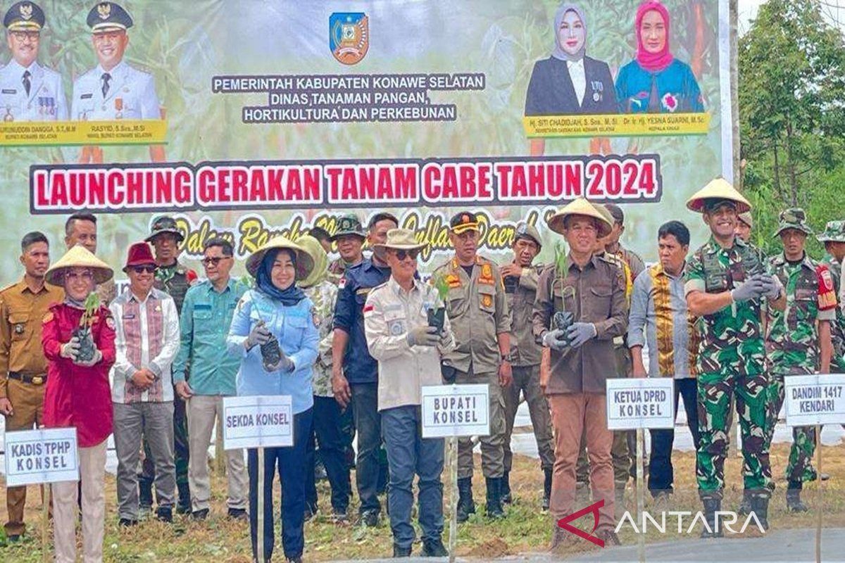 Pemkab Konsel lakukan gerakan tanam cabai