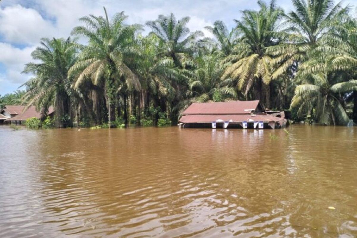 Banjir rendam ratusan rumah di Pesisir Selatan
