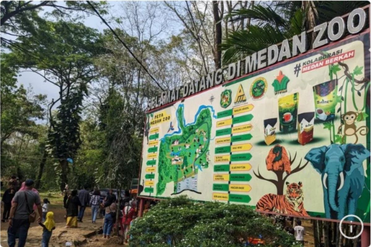 Empat ekor harimau mati, KLHK evaluasi Medan Zoo, Sumut