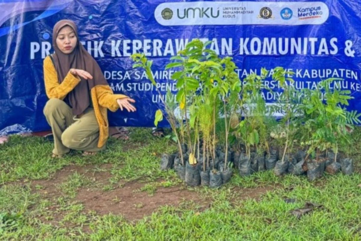 Mahasiswa  UMKU kampanyekan peduli lingkungan dengan tanam 1.520 pohon