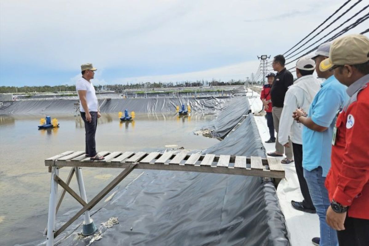 OJK: TPAKD bentuk program khusus dukung klaster tambak udang Sukamara