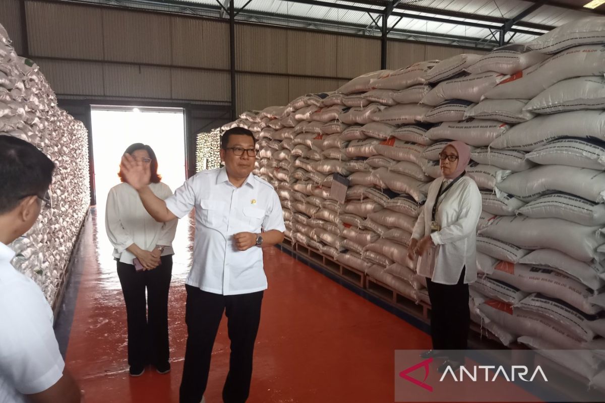 Badan Pangan Nasional impor beras untuk cadangan pangan