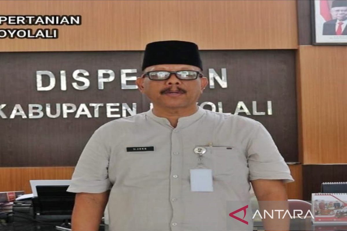 Dispertan Boyolali targetkan produksi 278.021 ton GKG pada 2024