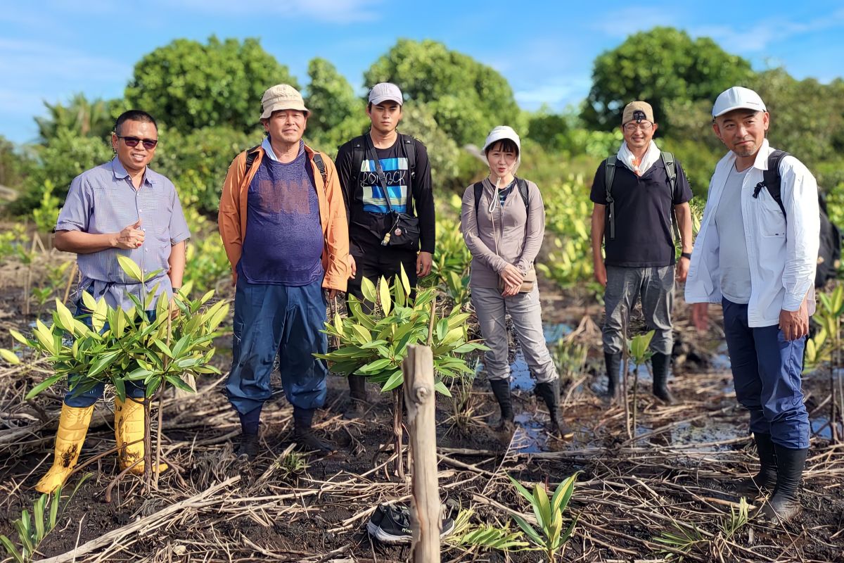 PWI bersama pecinta mangrove Indonesia - Jepang tanam bakau di Bintan