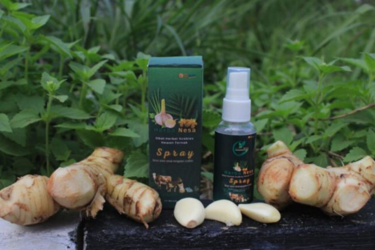 BRIN ungkap pemanfaatan obat herbal untuk hewan di Indonesia kian masif