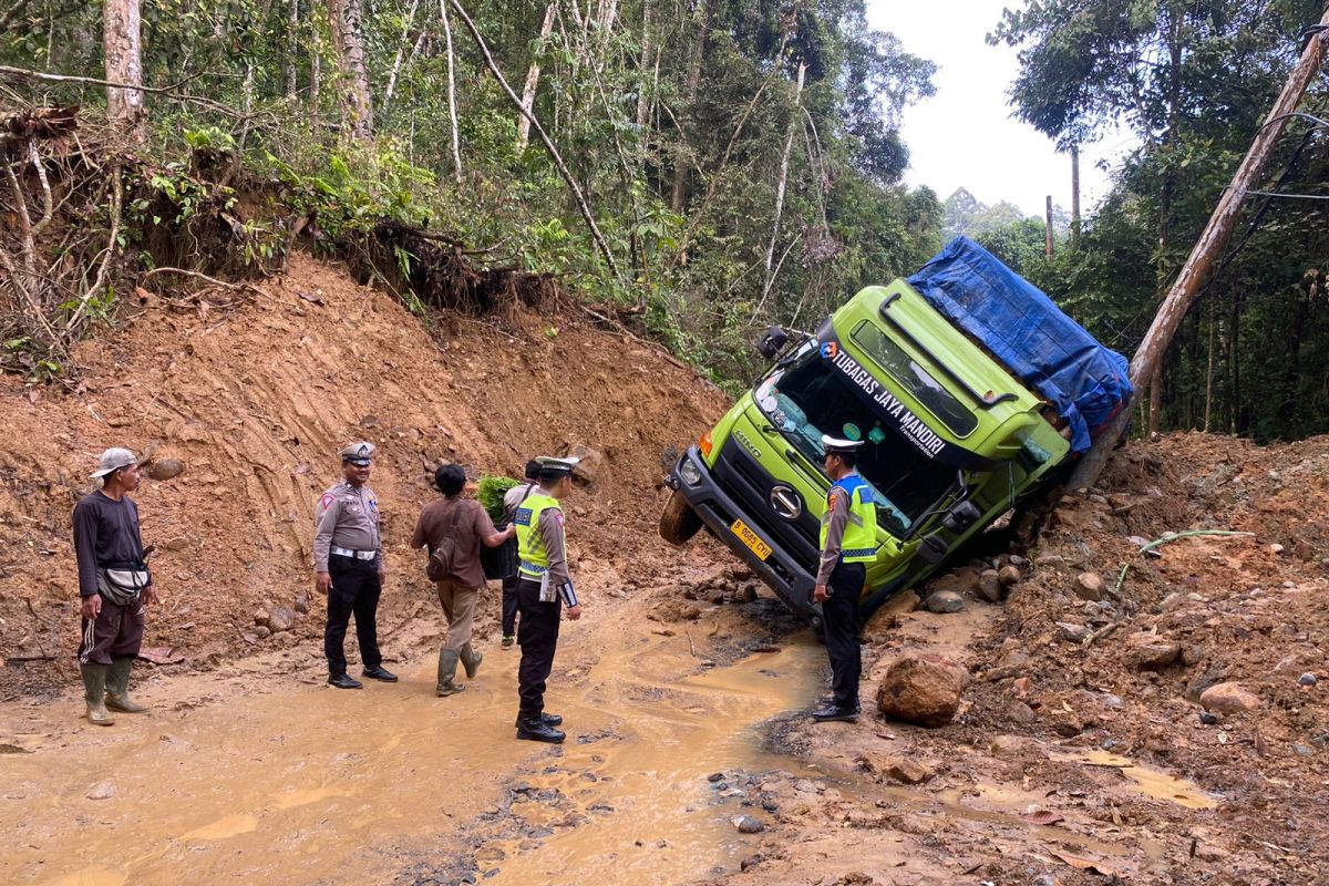 Truk besar terjebak, Jalan lintas Liwa-Krui di Lampung macet parah