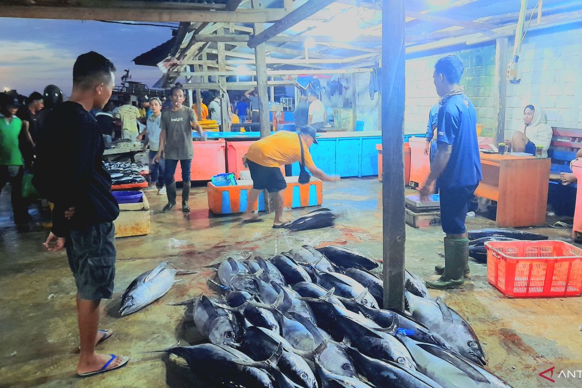 Angin kencang penyebab naiknya harga ikan di TPI Kota Gorontalo