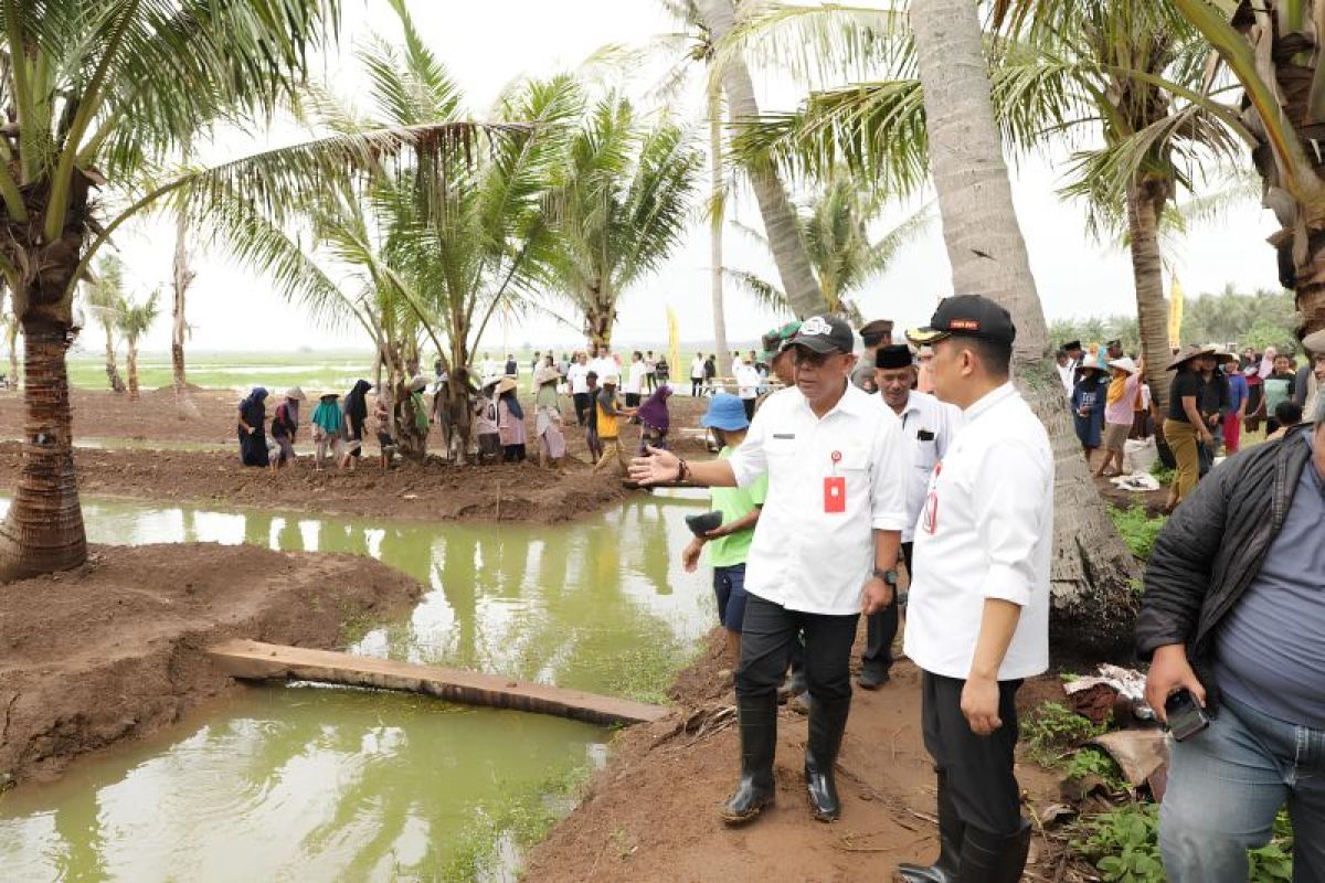 Pemkab Tangerang serukan pengembangan pola pertanian terpadu