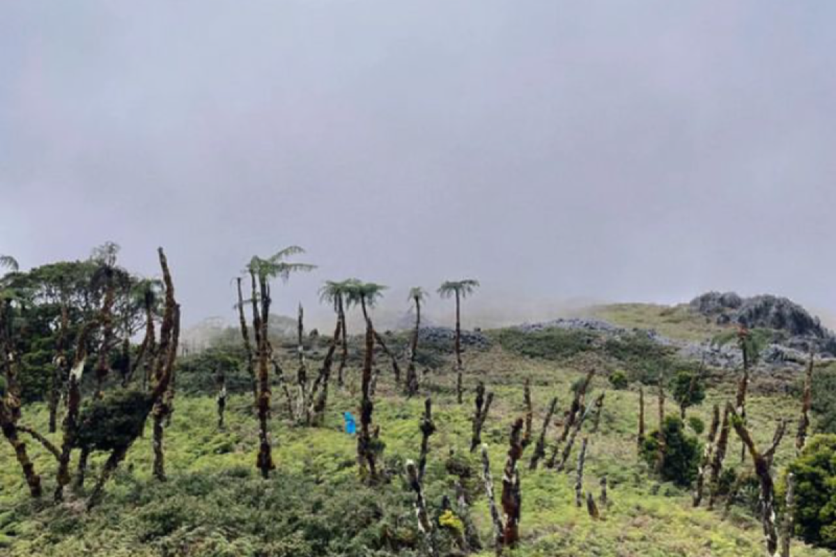 Jalur pendakian Gunung Binaiya selama pemilu ditutup