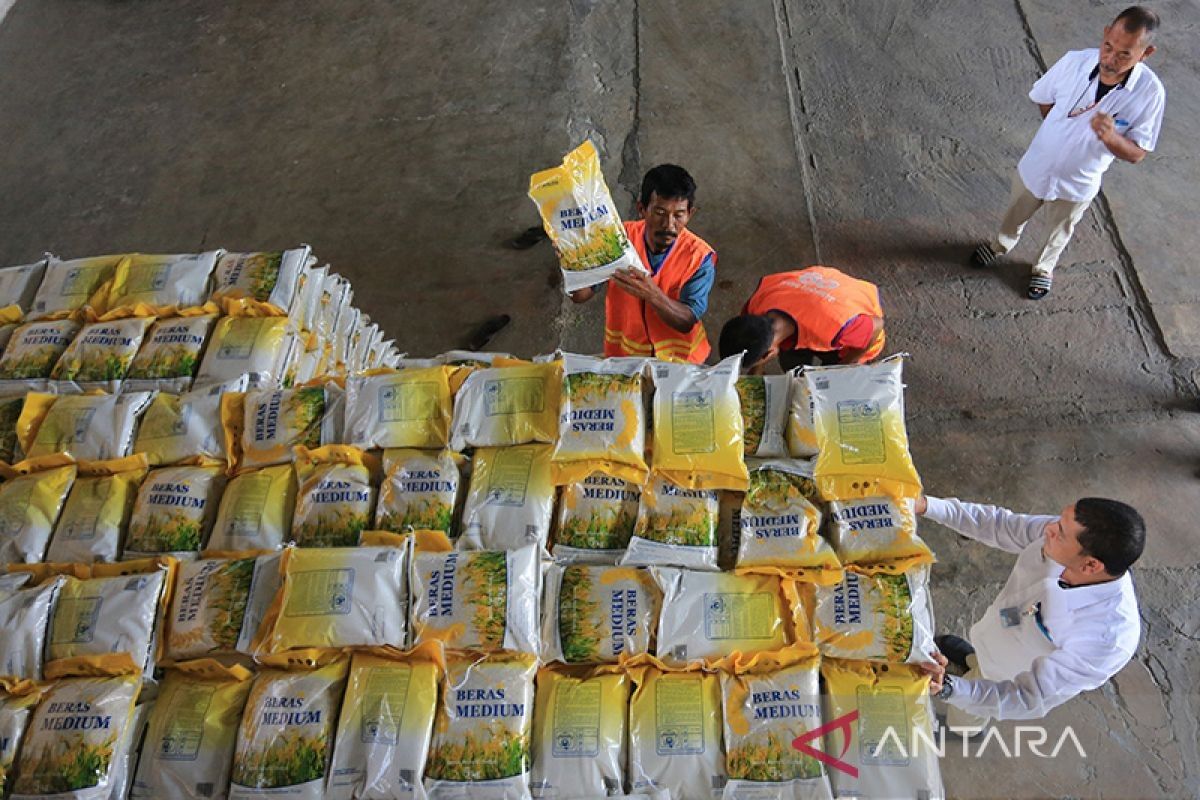 Bapanas sebut program bantuan pangan beras untuk kendalikan harga