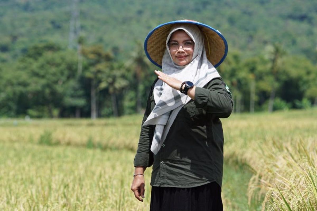 Penyuluh pertanian Aceh Besar butuh peningkatan kompetensi lewat studi banding