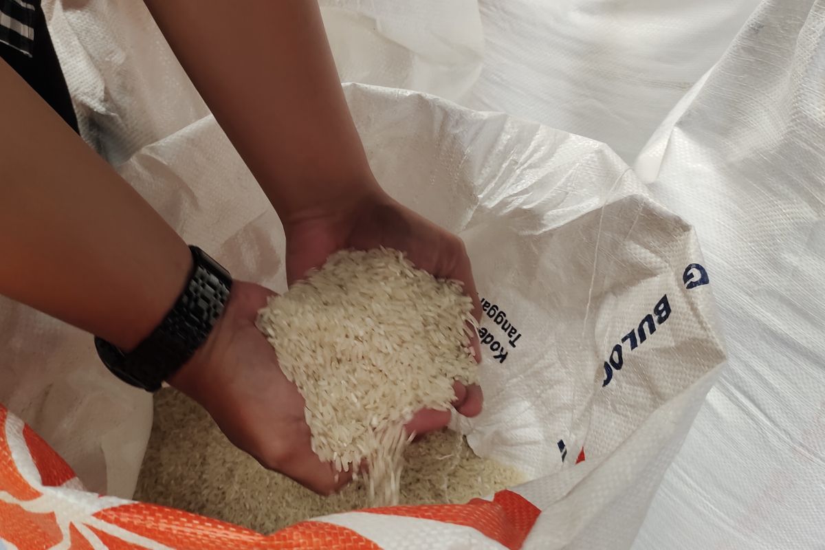 Kemarin, faktor tingginya harga beras hingga detil kenaikan gaji ASN
