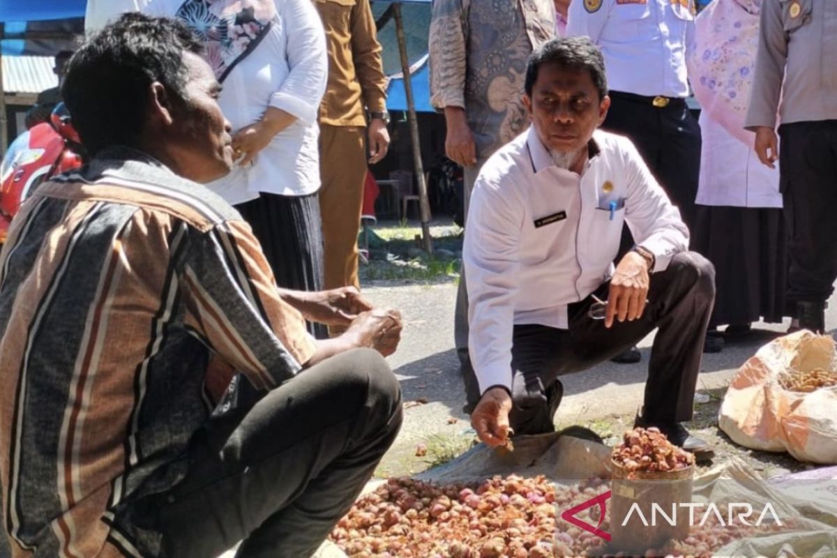 Pemkab Nagan Raya gencarkan program pangan lestari cipta ketahanan pangan