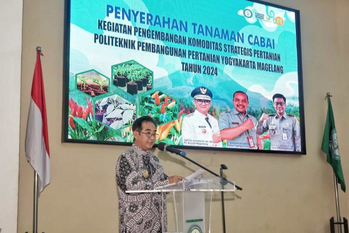 Penjabat Bupati Magelang serahkan 15.000 tanaman  cabai