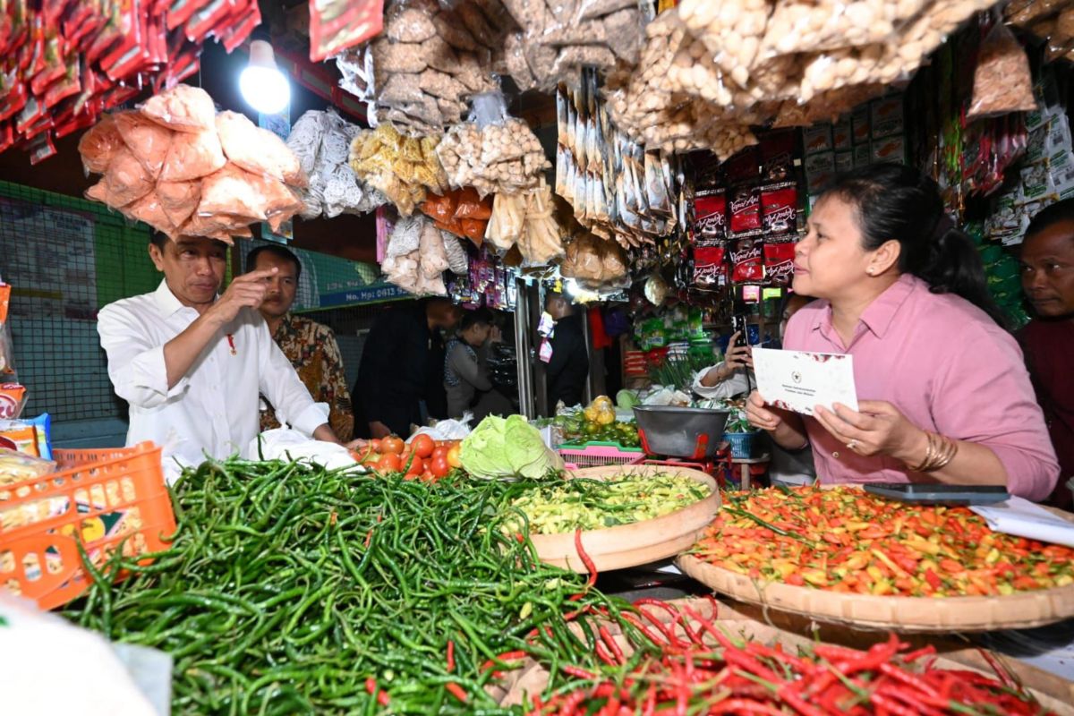 Jokowi inspects staples' stocks, prices at C Java's Wonogiri Market