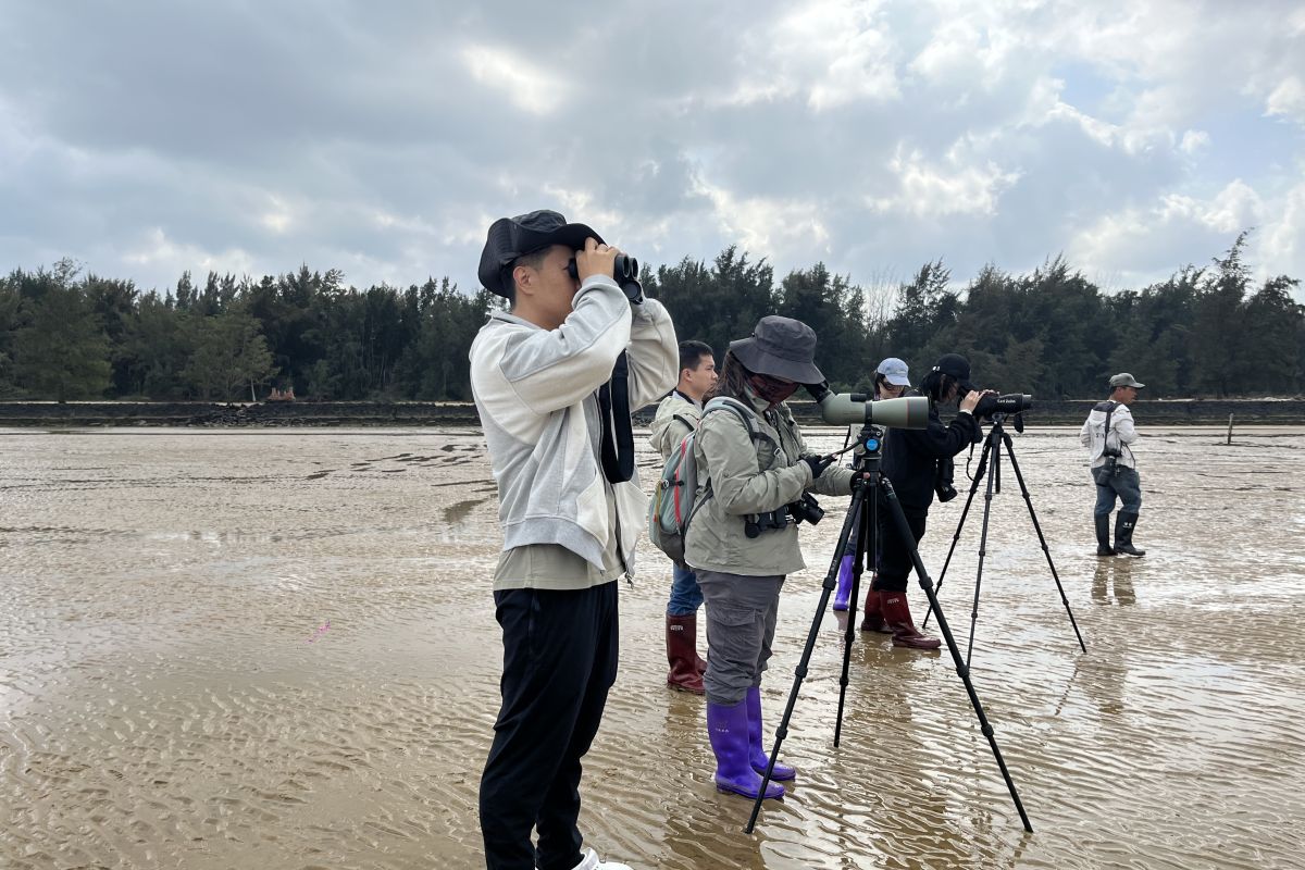 Pengamatan burung di China untuk peringati  Hari Lahan Basah Sedunia