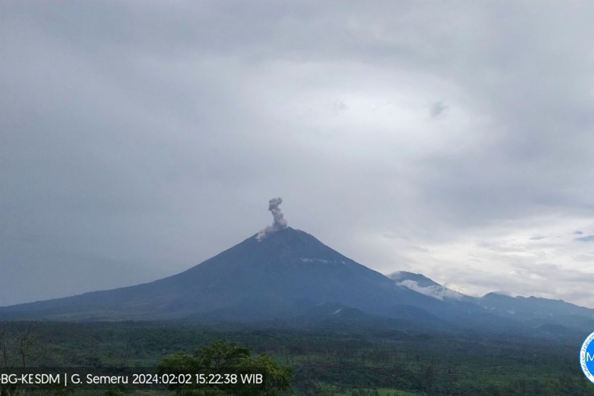 Semeru erupsi dengan ketinggian letusan 1,3 km di atas puncak
