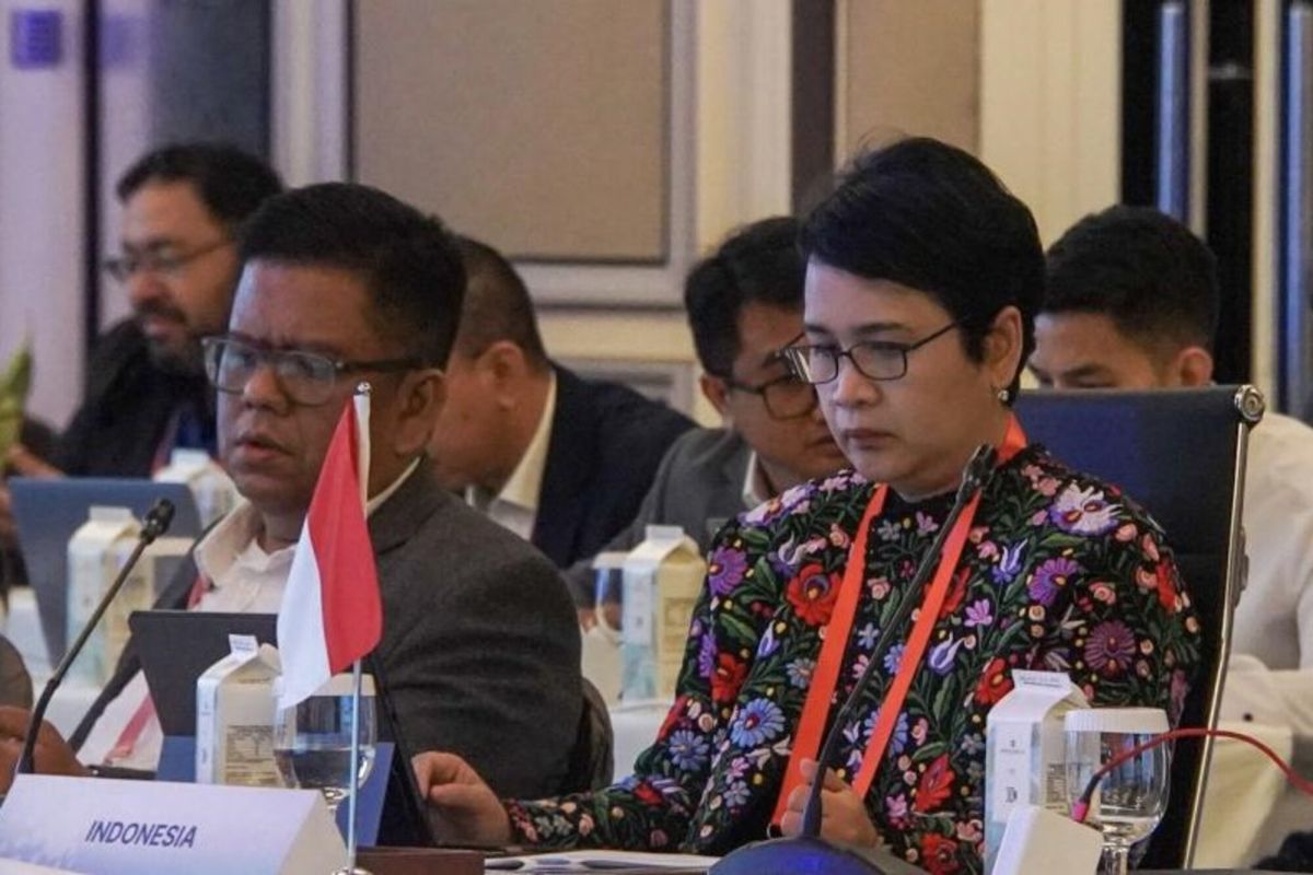 Indonesia dorong kolaborasi ASEAN mewujudkan ekosistem digital inklusif
