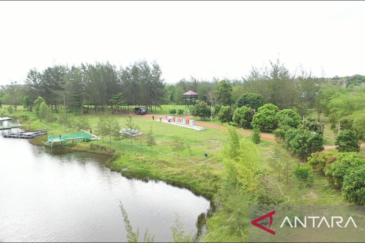 PT Timah hijaukan 299,47 hektare bekas tambang di Bangka Belitung