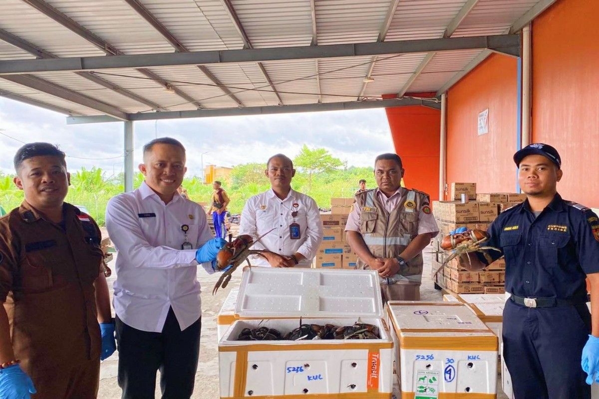 BKHIT Papua Tengah minta pengepul ikan untuk mengurus sertifikasi CKIB