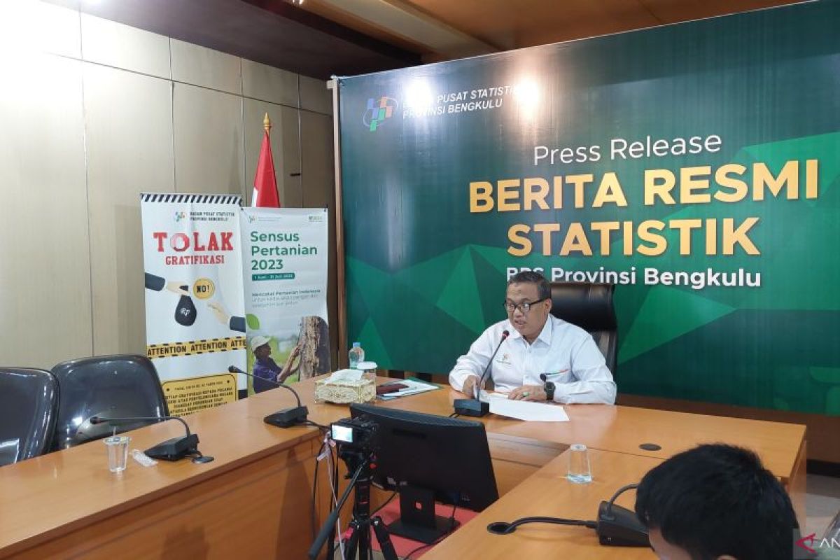 BPS: Perekonomian Bengkulu masih didominasi pertanian