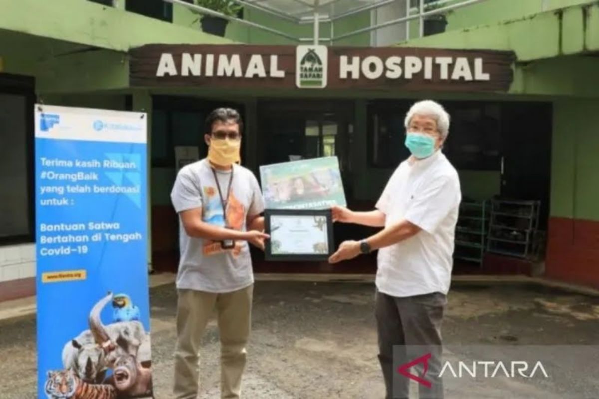 Medan Zoo: Pakan 155 satwa masih dibantu PKBSI