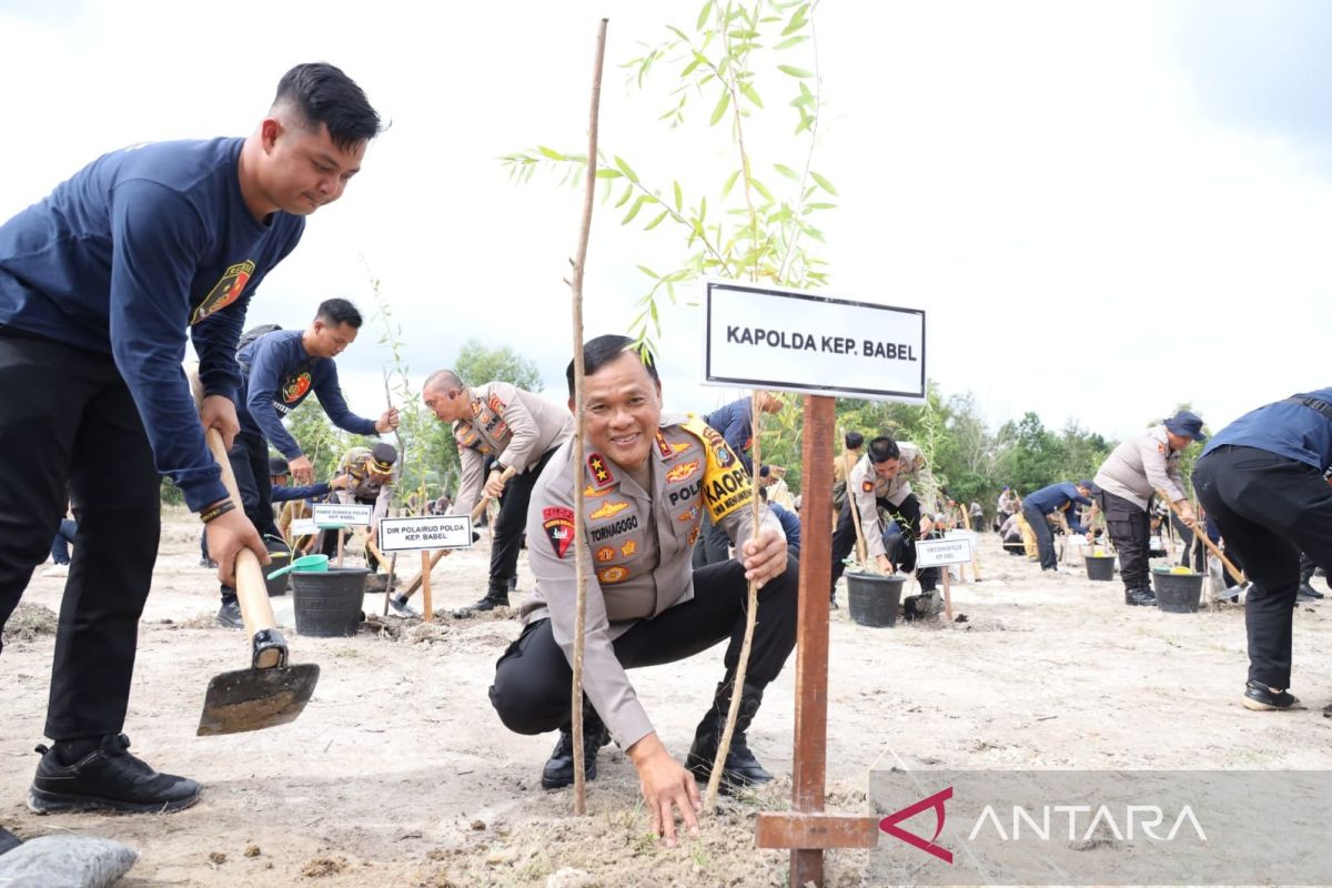 Tanam ribuan pohon dilahan kritis, Kapolda Babel: kita bertekad dan maksimalkan penanaman di seluruh Bangka Belitung