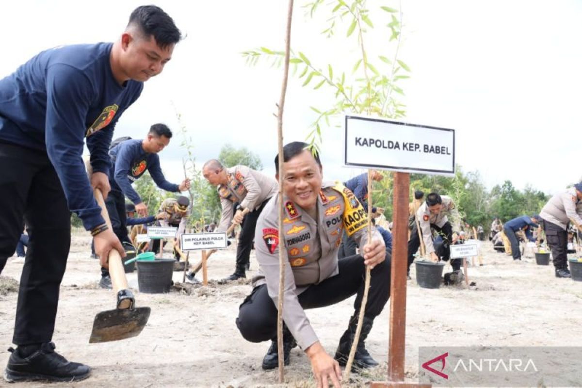 Polda Bangka Belitung tanam 2.200 bibit kayu putih dan buah di lahan kritis