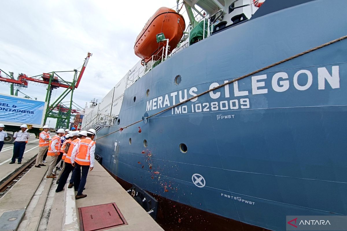 Dongkrak ekonomi Indonesia, Meratus tambah kapal kontainer