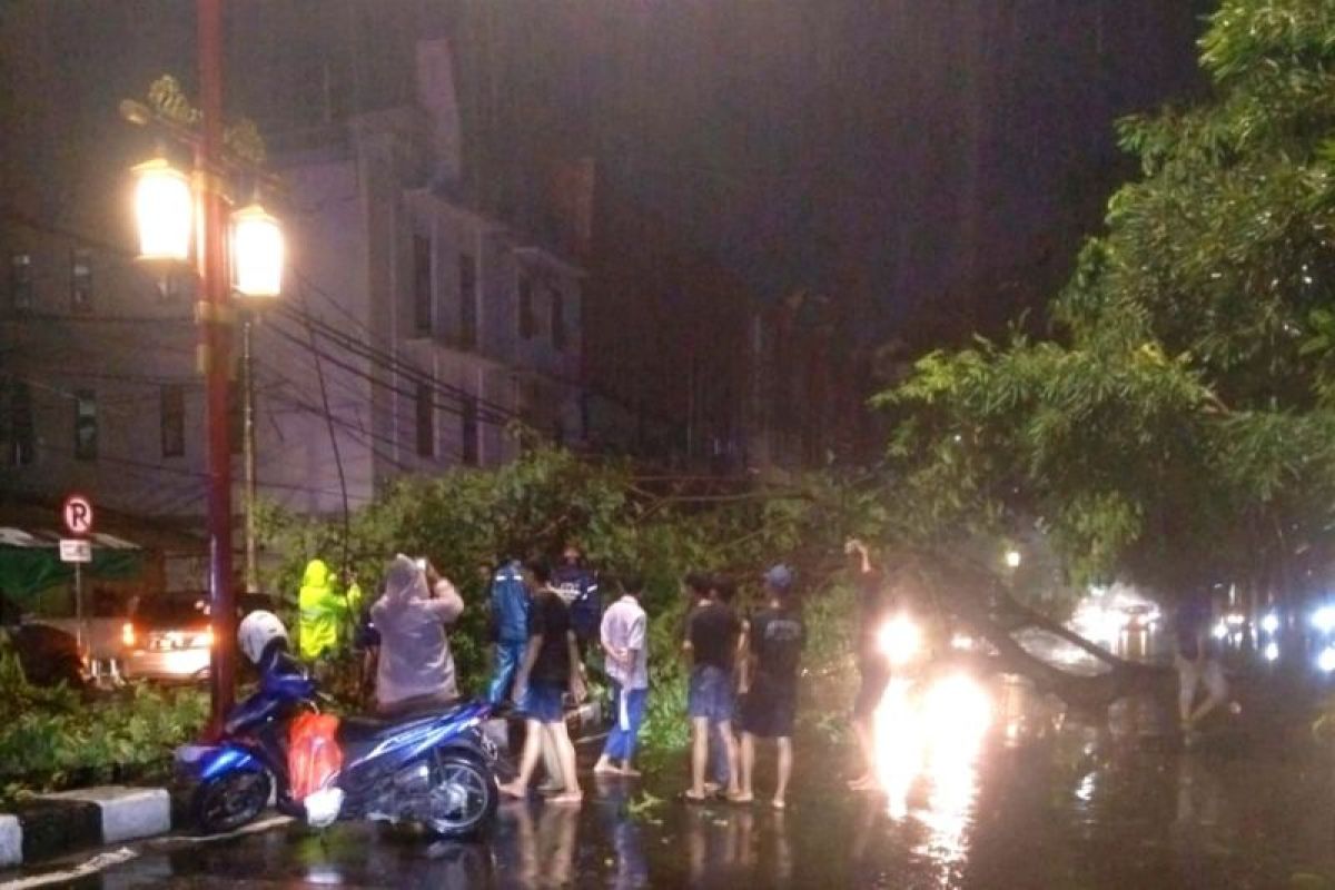 Surabaya hujan hingga tengah malam, belasan pohon tumbang