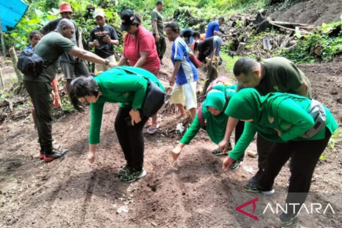 Dukung program kemandirian pangan. Kodim Seram Barat salurkan bibit kentang