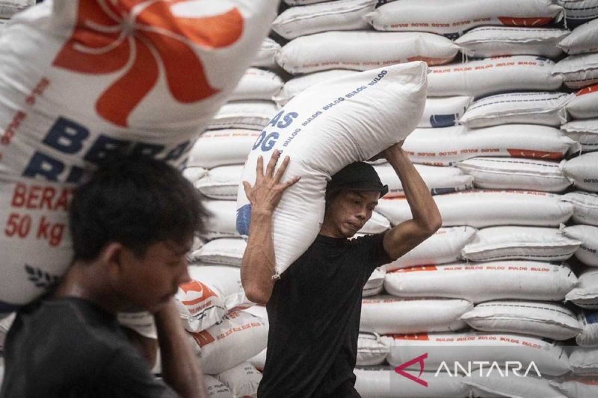 Govt balancing farmer gains with rice supply amid El Nino shortages