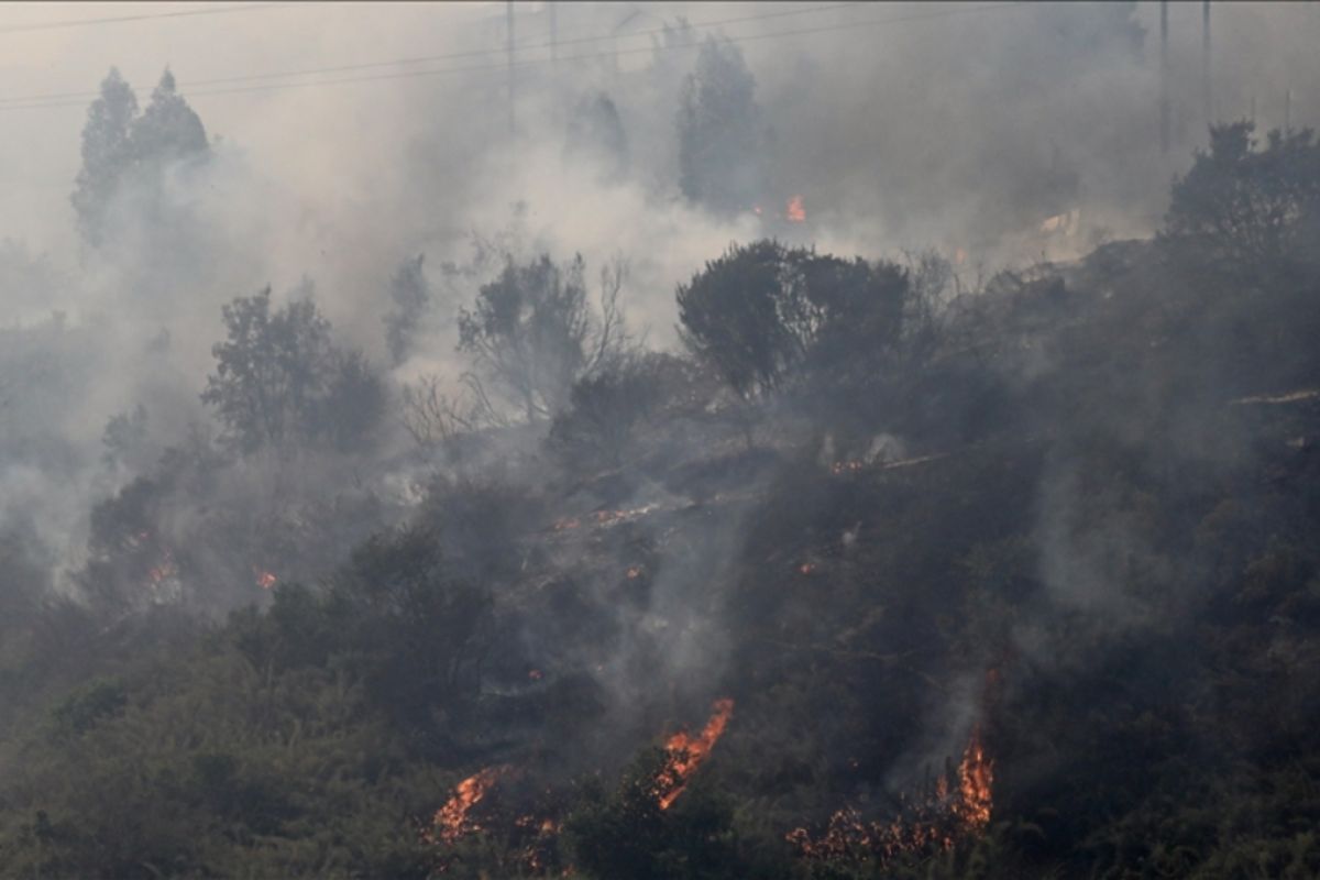 Kebakaran hutan di Chile menewaskan 51 orang