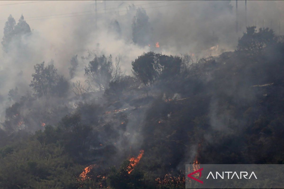 Setidaknya 99 orang tewas dan 1.600 kehilangan rumah akibat kebakaran Chile