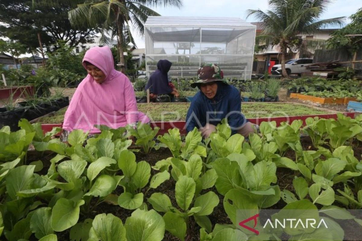 Aceh alami pertumbuhan ekonomi 4,23 persen selama 2023