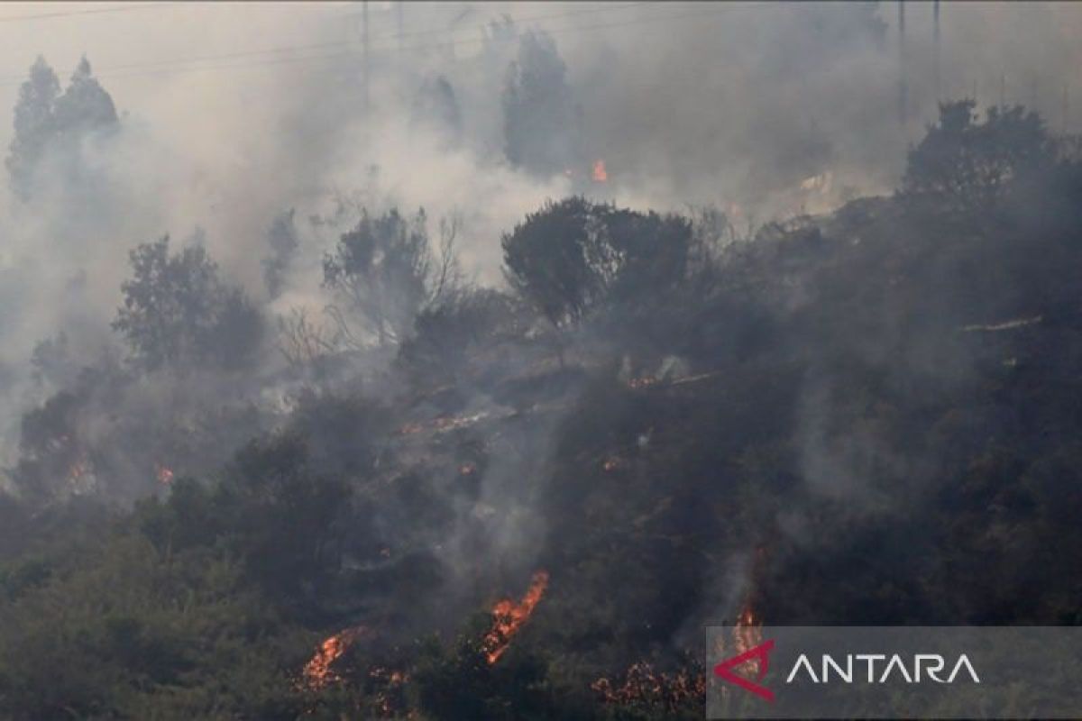 Satu tewas akibat kebakaran hutan di Texas