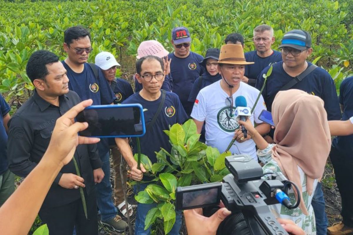 PWI Kepri tanam 50 ribu bibit mangrove sambut HPN 2024